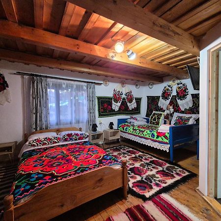 Gasthaus La Rodica In Vale Ocna Şugatag Exterior foto