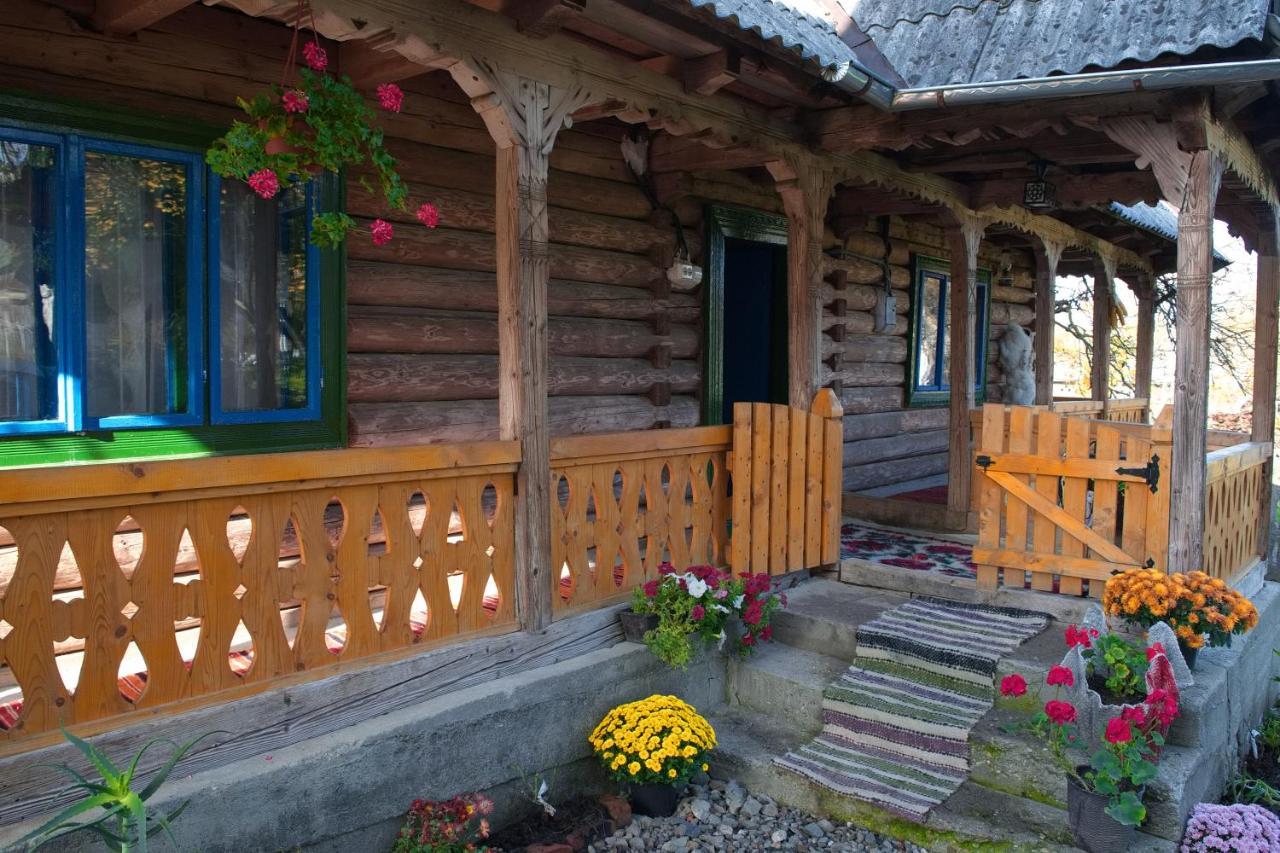 Gasthaus La Rodica In Vale Ocna Şugatag Exterior foto